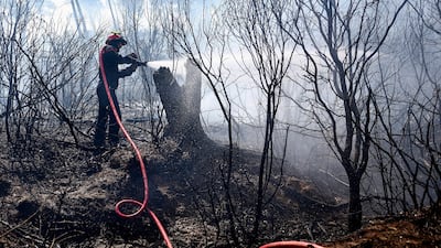 The crisis was described as 'apocalyptic' by Jean-Jacques Marty, president of the rural mayors of Aude. Reuters