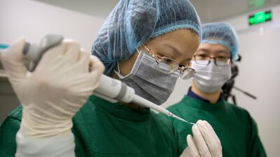 A scientist loads Cas9 protein and PCSK9 sgRNA molecules into a fine glass pipette at a laboratory in Shenzhen. Opening up intellectual property access to other resarchers will hasten innovation in the field of gene editing. AP