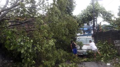 Residents clear the road after a tree was toppled by strong winds and damaged a van at the onslaught of powerful typhoon Haiyan that hit the island province of Cebu. Chester Baldicantos / AP Photo