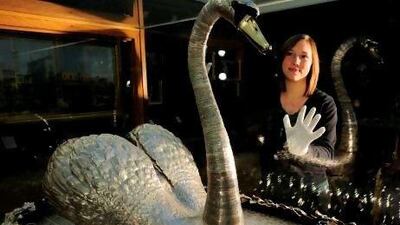 Through the story of a swan, Peter Carey's new novel assesses human emotions, and examines the ability of science to deal with our thorniest problems. PA Archive / Press Association Images