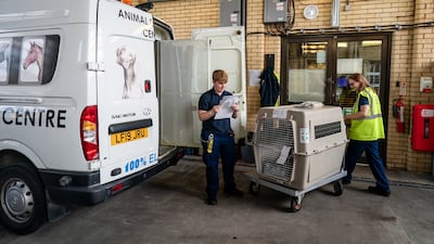 Each year, about 14,000 dogs and cats, 400 horses, 100,000 reptiles, 1,000 birds and 28 million fish are imported through Heathrow Airport