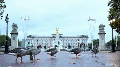 A gaggle of geese cross the road in front of Buckingham Palace in London. Reuters
