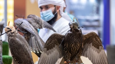 Al Andalus Falcons stall at Adihex. Victor Besa / The National