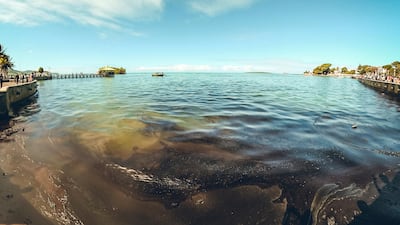 Environmental groups gave warnings about the severe consequences of the spill.