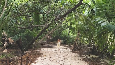 The Seychelles has classified the UAE as medium-risk meaning travellers are welcome with negative Covid-19 test results. Unsplash