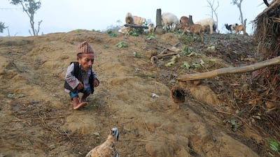 Chandra Bahadur Dangi, a 72-year-old Nepali who claims to be the world's shortest man at 56 centimetres (22 inches) in height, walks near his home in Reemkholi village, Dang district, some 540 kilometres southwest of Kathamandu. AFP PHOTO/Prakash MATHEM??