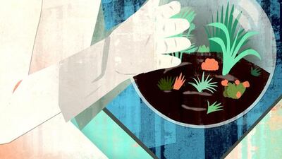 When growing plants in space, scientists must trick them into mimicking the behavior of plants on Earth - of turning towards a source of light. Illustration by Sarah Lazarovic