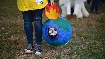 A dog sitting in a globe with flames attends the Tompkins Square Halloween Dog Parade in Manhattan in New York City. AFP