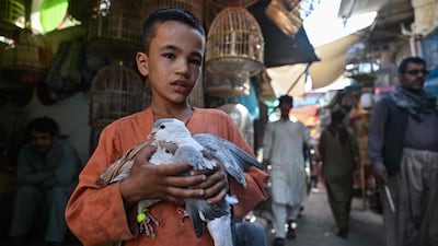 A boy holds two pigeons in the Ka Faroshi bird market.