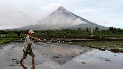 A Filipino farmer clears a rice field near the base of Mount Mayon in the town of Camalig, Albay province, Philippines. Francis R Malasig / EPA