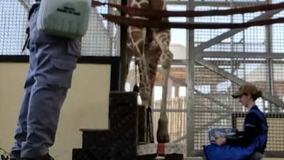 Once a diagnosis had been established, Dahlia was cured within weeks