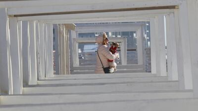 A woman carries a dog on a beach in the Black Sea port of Yevpatoriya, Crimea. REUTERS