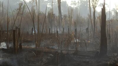 epa07796054 General view of the damage caused by the fires in the forest of Porto Velho, Brazil, on 26 August 2019. Seven Brazilian states have formally requested the help of the military to fight the fires burning in the Amazon. EPA/Joédson Alves