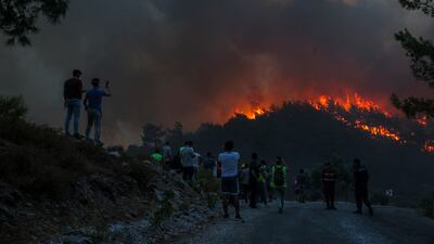 The fires have killed eight people and countless animals.