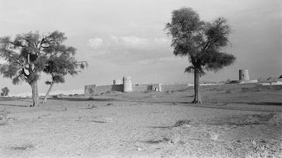 This photo taken in Al Ain by Sir Wilfred Thesiger in 1948 later sparked an architectural detective story that fuelled the restorations to the Al Jahili fort. Pitt Rivers Museum, University of Oxford