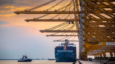 Container vessel at Dubai's Jebel Ali terminal. Photo: DP World