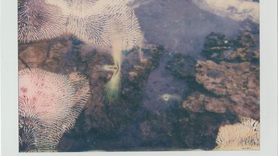 Lara Atallah's 'Barcelona #1 and Beirut #11'. Courtesy of the artist