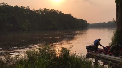 Salonga National Park in Democratic Republic of the Congo has been removed from Unesco's list of World Heritage sites in danger