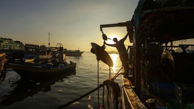 Palestinian fishermen arrive back from a fishing trip at the port of Gaza City. Wissam Nassar