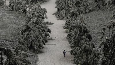 A man walks on a road blanketed with volcanic ash from the erupting Taal Volcano in Tagaytay, Philippines. Reuters
