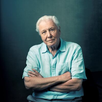 Sir David Attenborough narrates 'A Perfect Planet' for BBC Earth. Photo: Alex Board