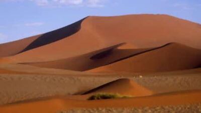 A herd of gazelles roam in the Namib desert in Namibia. The harsh landscape and its extreme temperatures have resulted in the animals' hardy metabolic system.