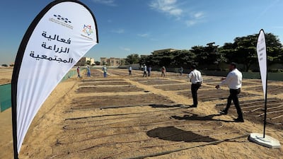 Workers prepare farming plots for the residents of Silicon Oasis in Dubai. Satish Kumar / The National