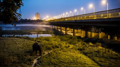 May 25, 2014. An elephant and its handler walk on the riverbank at dusk. Mahouts survive by giving rides to passers-by and hiring the animals out for religious festivals, events and weddings.