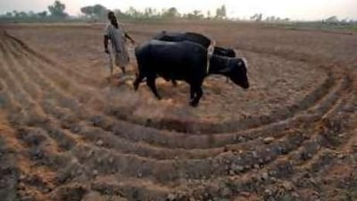 GCC countries hoped to set up farms offshore to help them gain food independence but the credit crunch has temporarily interrupted these plans.