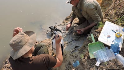 The logs, modified using stone tools, appear to have been part of a framework for a structure. Reuters