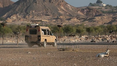 Tourists ride in a jeep during a safari on the 1,400 hectare island.