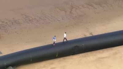 One of the massive pipes that washed up on a British beach on August 11, 2017. Reuters
