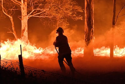 Firefighters and residents hose down trees and flying embers in an effort to secure nearby houses from bushfires near the town of Nowra. Courtesy: AFP