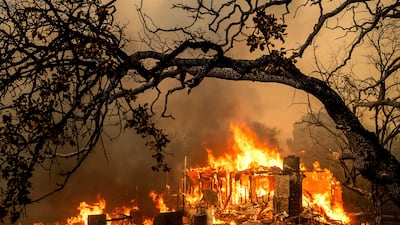 The Thompson Fire, a wildfire in northern California, destroyed homes and scorched 15 square kilometres of land during July heatwaves. AP Photo