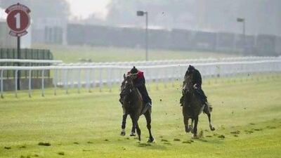 The connections of Beaten Up, left, felt he moved well during track work yesterday morning.