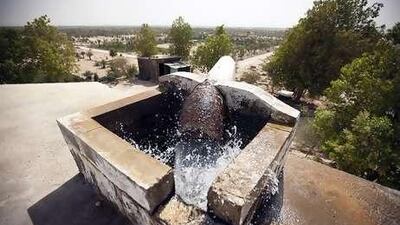 Water flows into a holding tank at Ajban Farms in Abu Dhabi.