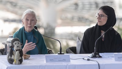 Dr Jane Goodall's Roots & Shoots programme has many chapters in the UAE. Antonie Robertson/The National