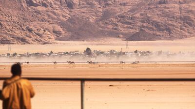 Jordanian Bedouins prepare to race camels using robotic jockeys at the Sheikh Zayed track in the town of al-Disi in the desert of Wadi Rum valley, on November 9, 2019