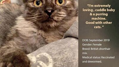 Courtesy Red Paw Foundation