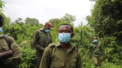 A group of park rangers wearing protective masks in the Virunga National Park. Peter Yeung