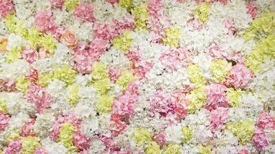 Antonie Robertson / The National