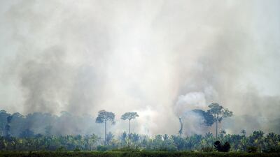 The Amazon region has lost 10 per cent of its native vegetation, mostly tropical rainforest, in almost four decades. AFP