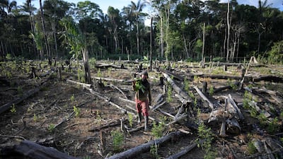 A farmer carries a chainsaw at a plantation after cutting down trees in Colombia. France is looking to reduce deforestation in Europe in a bid to tackle climate change. AFP