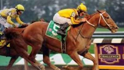 Curlin, ridden by Robby Albarado, sprints to the Jockey Club Gold Cup to top US$10 million in winnings.