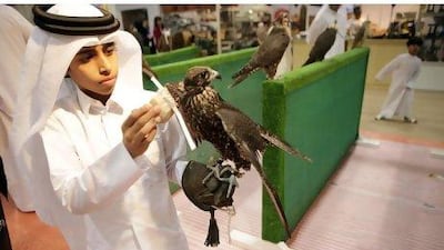 Ahmed Al Thani, 12, holds a falcon on display at the Adihex show at Adnec yesterday. Sammy Dallal / The National