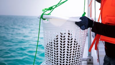 The project is a long-term drive to improve marine life and coral growth off the coast