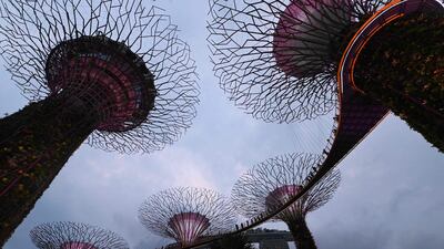 People walk on an aerial ledge connecting supertree structures at the Gardens by the Bay in Singapore. AFP