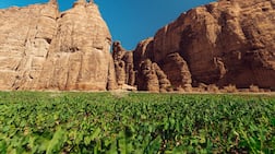 Dramatic landscapes make a long drive to the ancient city of AlUla worth it. Photo: Royal Commission for AlUla