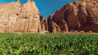 Dramatic landscapes make a long drive to the ancient city of AlUla worth it. Photo: Royal Commission for AlUla