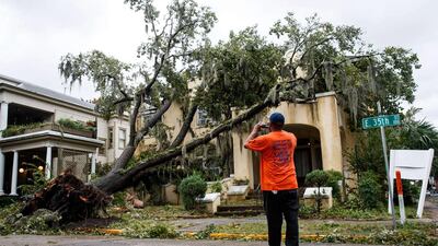 A tree felled by Hurricane Matthew in Savannah, Georgia on October 8, 2016. Drew Angerer/Getty Images/AFP